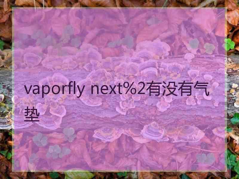 vaporfly next%2有没有气垫