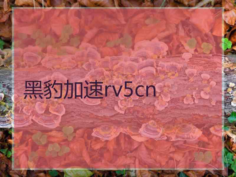 黑豹加速rv5cn