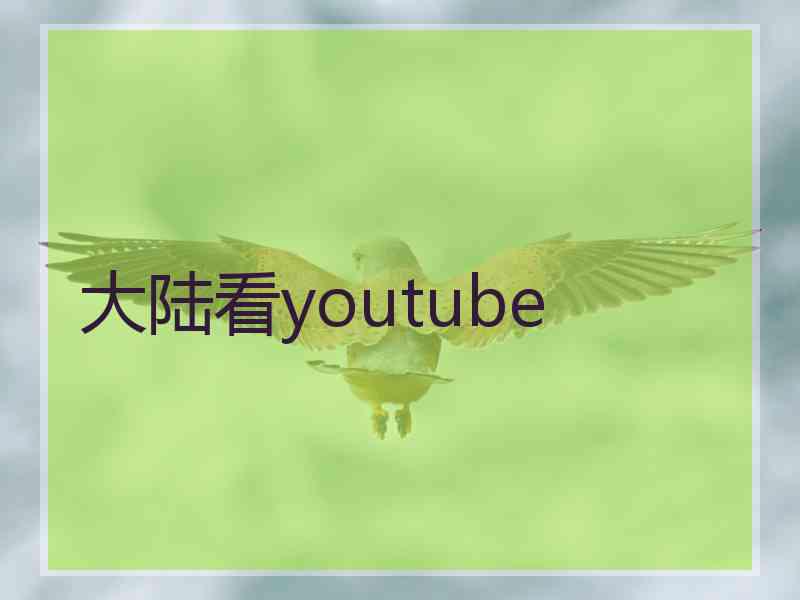 大陆看youtube