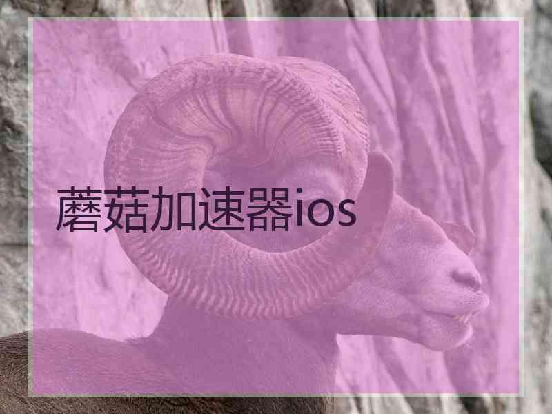 蘑菇加速器ios