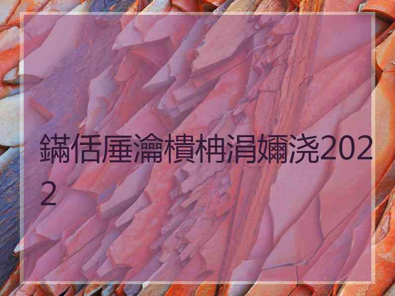 鏋佸厜瀹樻柟涓嬭浇2022