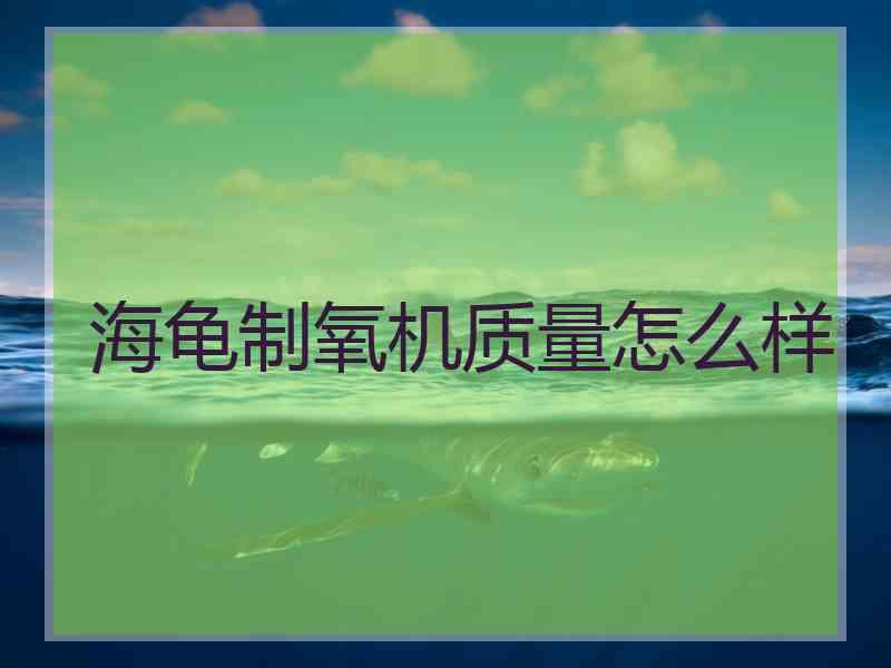 海龟制氧机质量怎么样