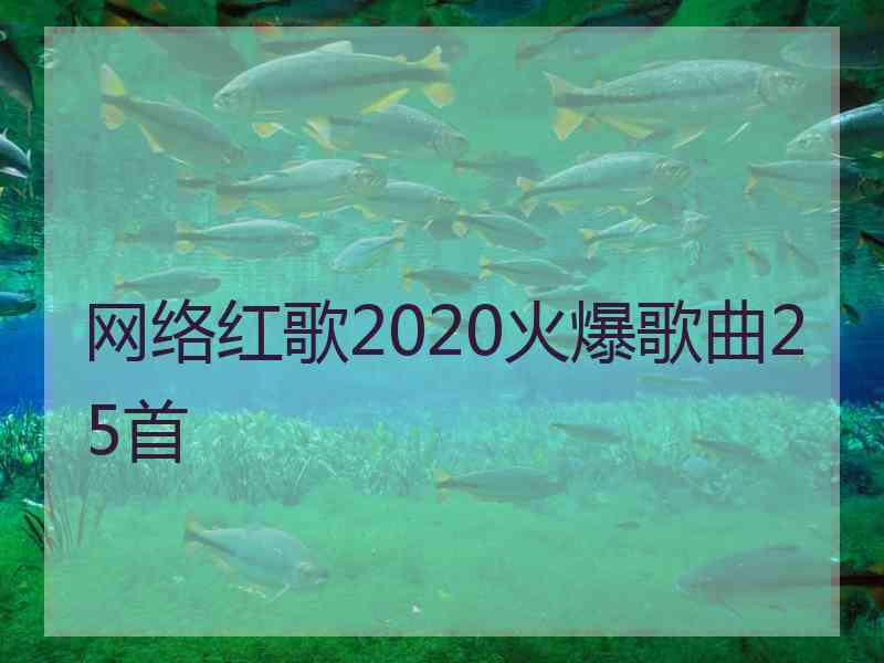 网络红歌2020火爆歌曲25首