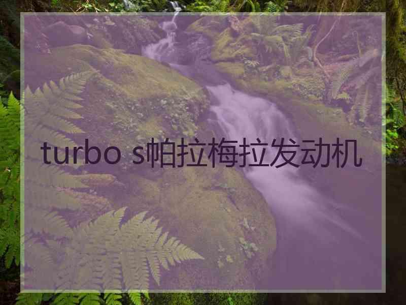 turbo s帕拉梅拉发动机