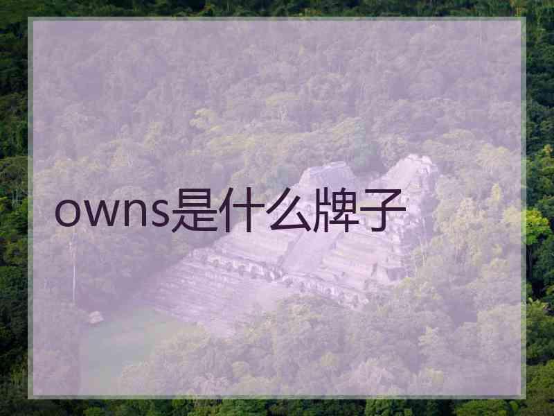 owns是什么牌子