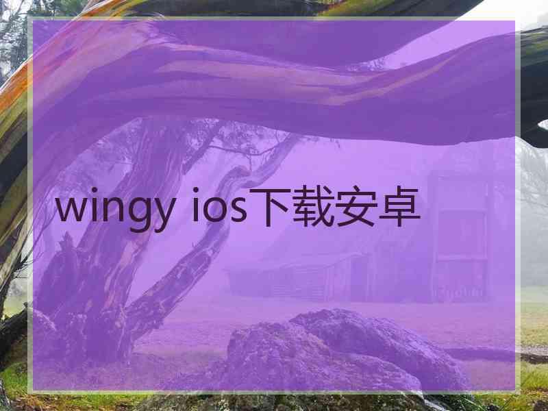 wingy ios下载安卓