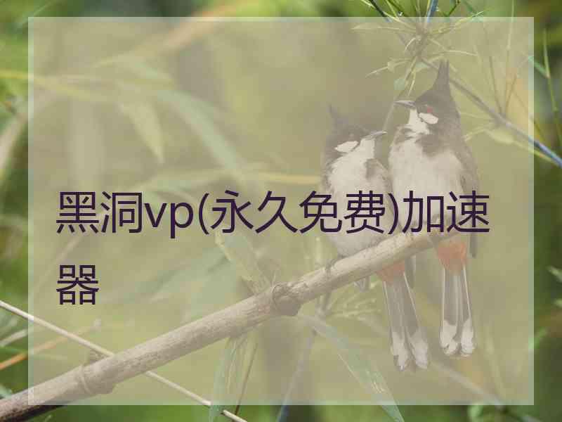 黑洞vp(永久免费)加速器