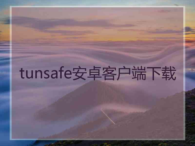 tunsafe安卓客户端下载