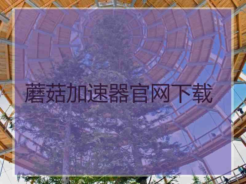 蘑菇加速器官网下载