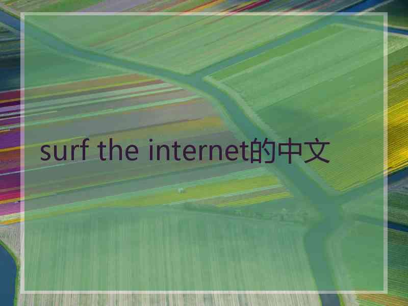 surf the internet的中文