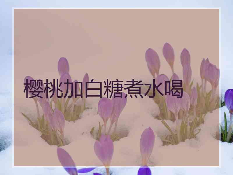 樱桃加白糖煮水喝