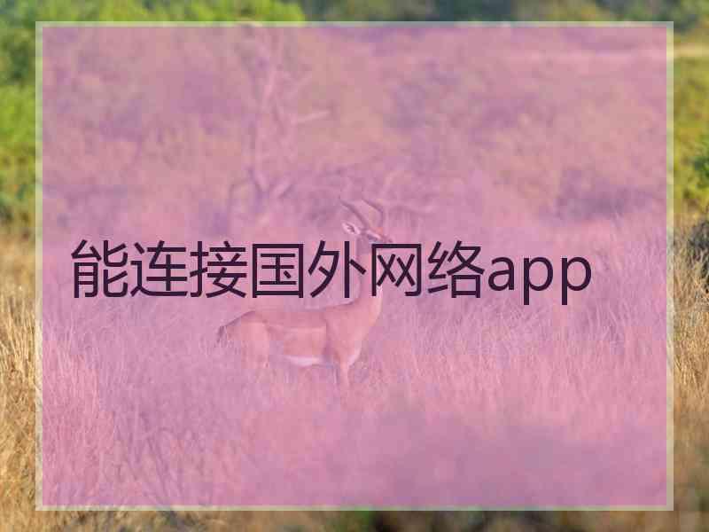 能连接国外网络app