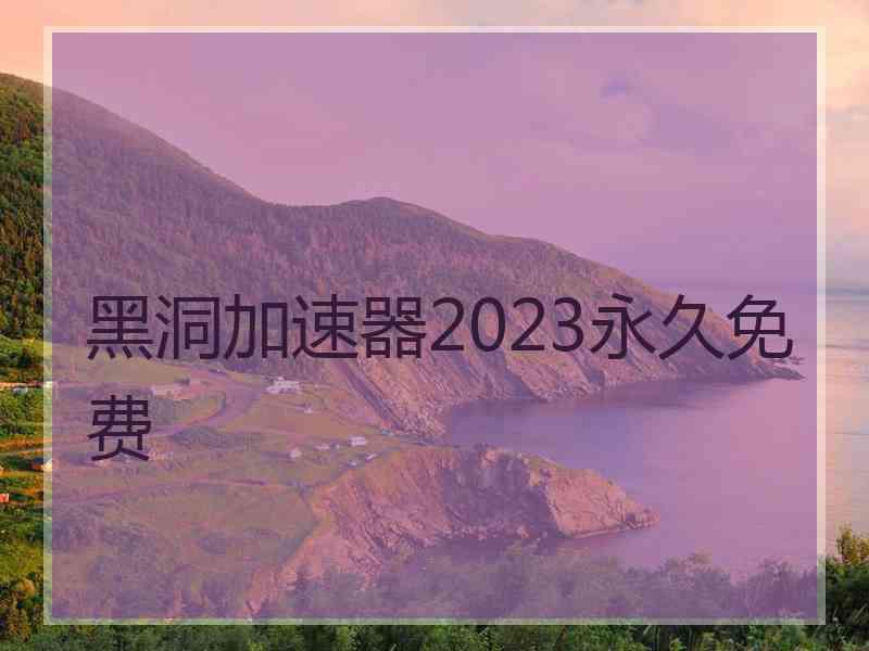 黑洞加速器2023永久免费