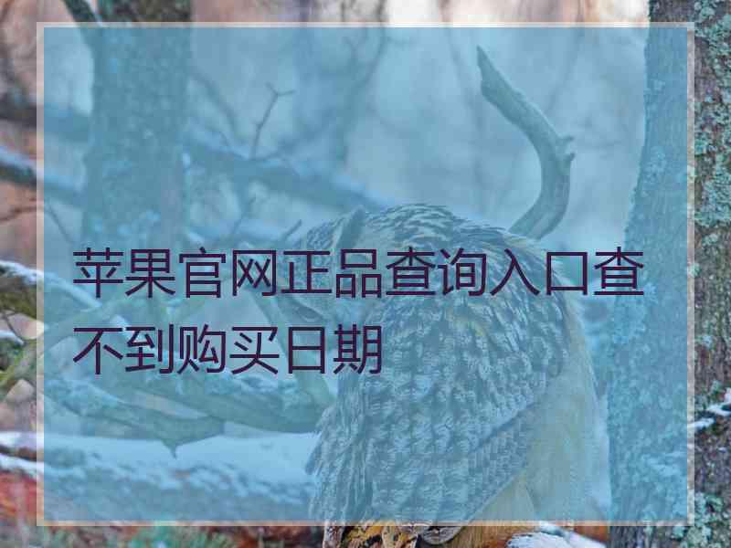 苹果官网正品查询入口查不到购买日期