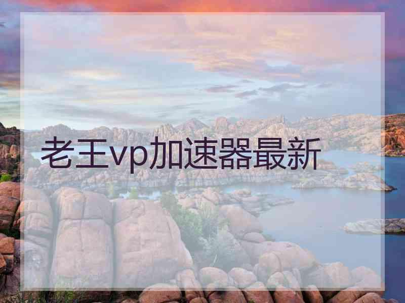 老王vp加速器最新