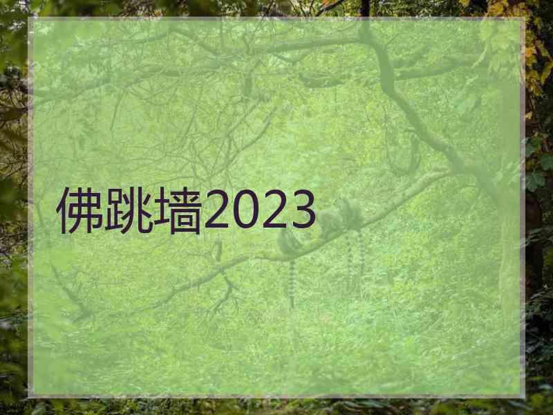 佛跳墙2023