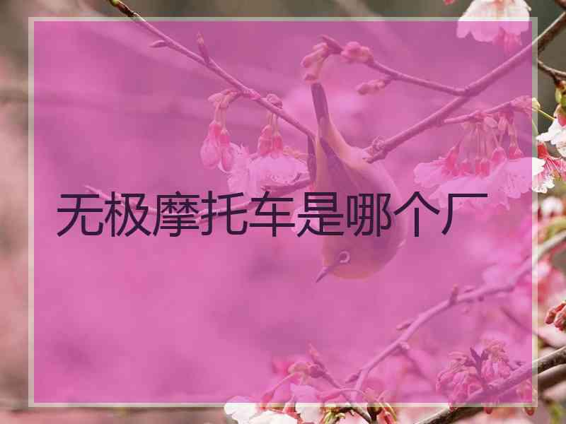 无极摩托车是哪个厂