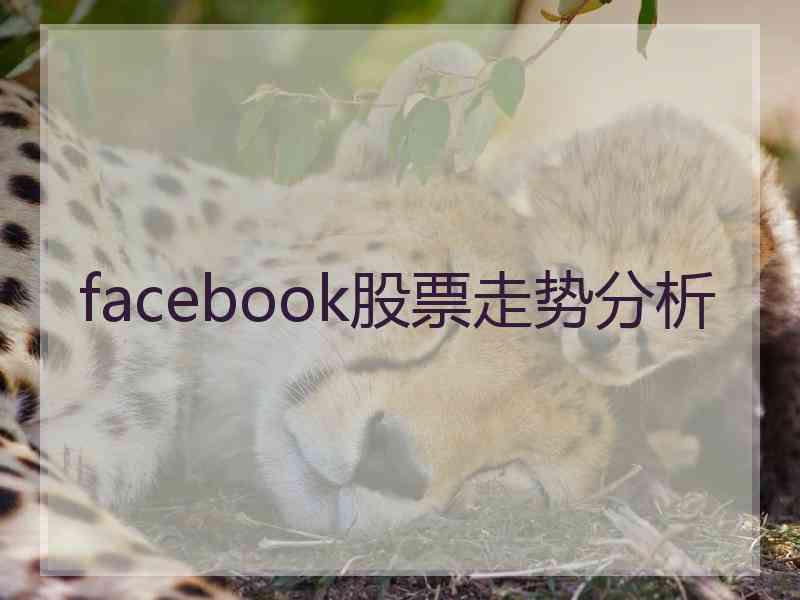 facebook股票走势分析