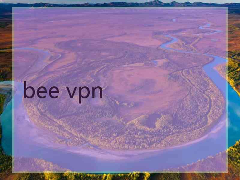 bee vpn